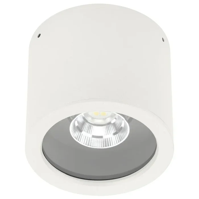 Albert 2319 Deckenaufbauleuchte LED Weiß, 1-flammig