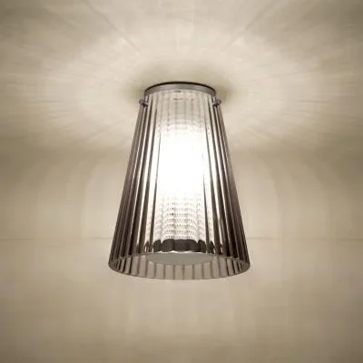 Ceiling Mount2401995