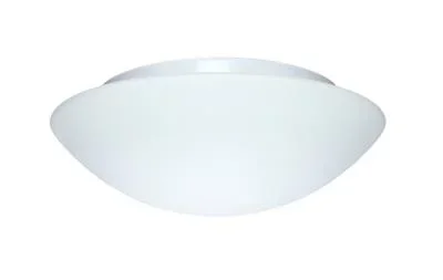 Ceiling Mount268412