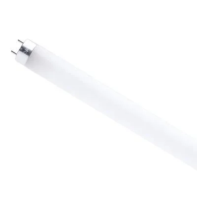 Light Bulb2412854