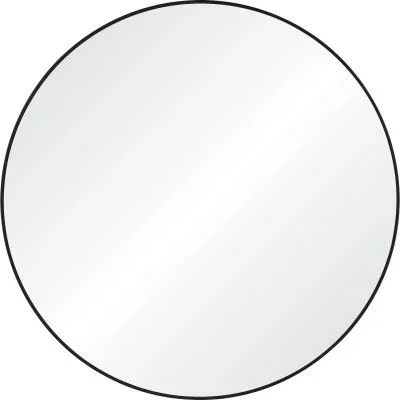 Mirror4540586