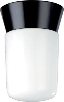 One Light Ceiling Mount785880