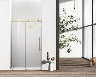 Shower Door8971351