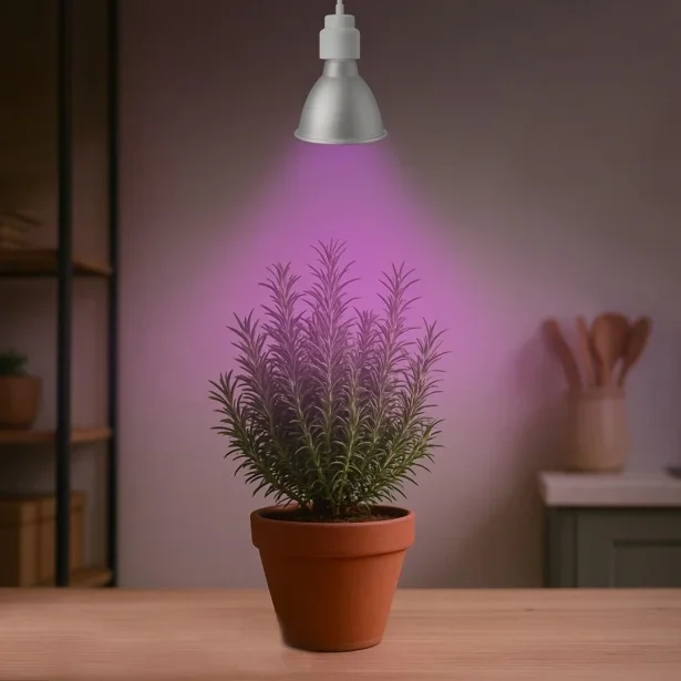 Venso LED Pflanzenlampe Grow Light Cultura E27 15 W 30° IP65 – Wellenlängenverhältnis Rot Blau Weiß